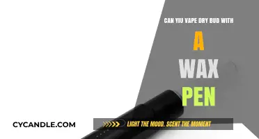 Can You Vape Dry Bud with a Wax Pen? Explained