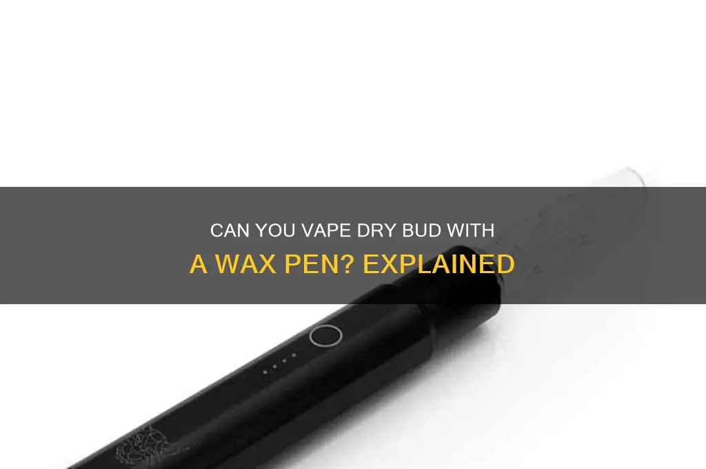 can yiu vape dry bud with a wax pen