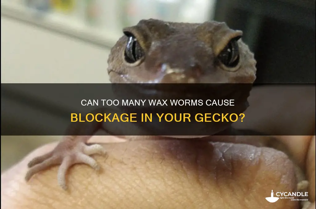 can yoo many wax worms give gecko blockage