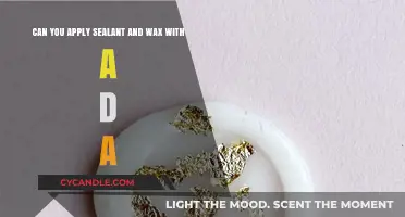 Applying Sealant and Wax with a DA: Tips and Techniques