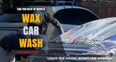 Can You Bathe in Wash N Wax Car Wash? Facts Revealed