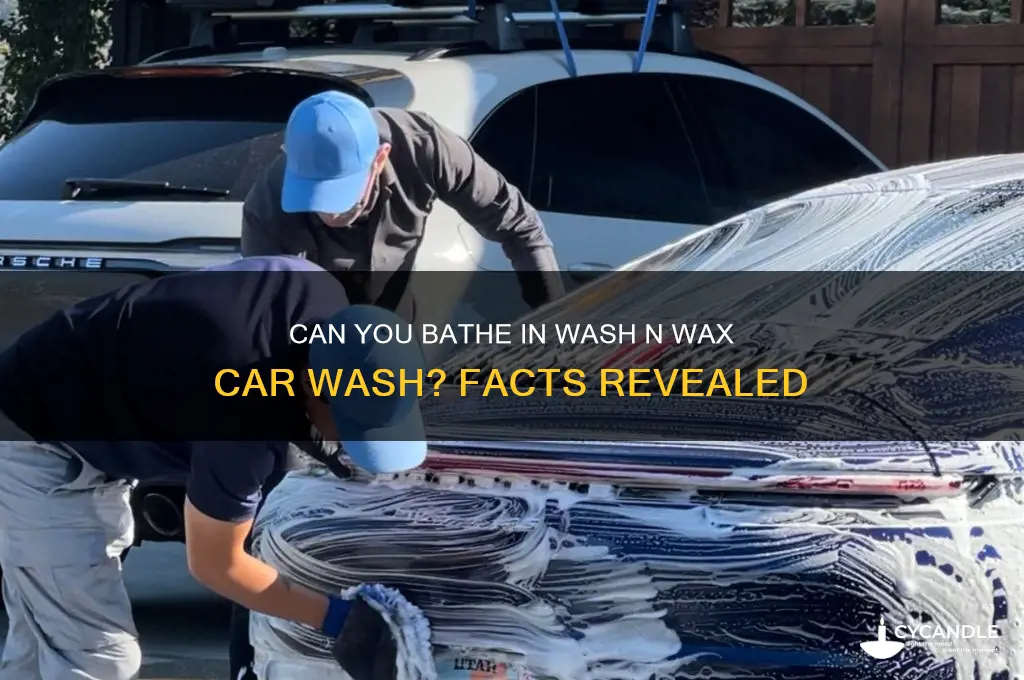 can you bath in wash n wax car wash