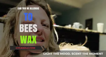 Can You Be Allergic to Beeswax? Uncovering the Truth and Risks