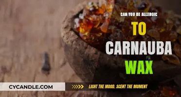 Can You Be Allergic to Carnauba Wax? Uncovering the Truth
