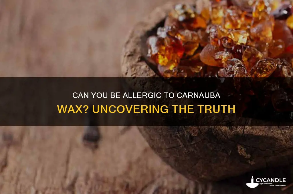 can you be allergic to carnauba wax