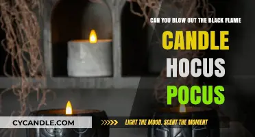 Can You Blow Out the Black Flame Candle in Hocus Pocus?