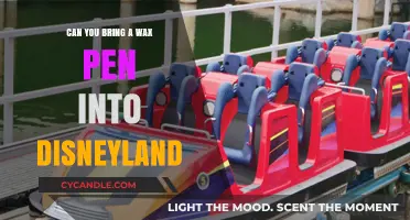 Can You Bring a Wax Pen into Disneyland? Rules Explained