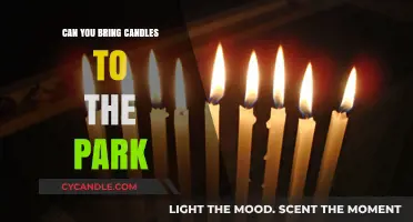 Can You Bring Candles to the Park? Rules and Safety Tips