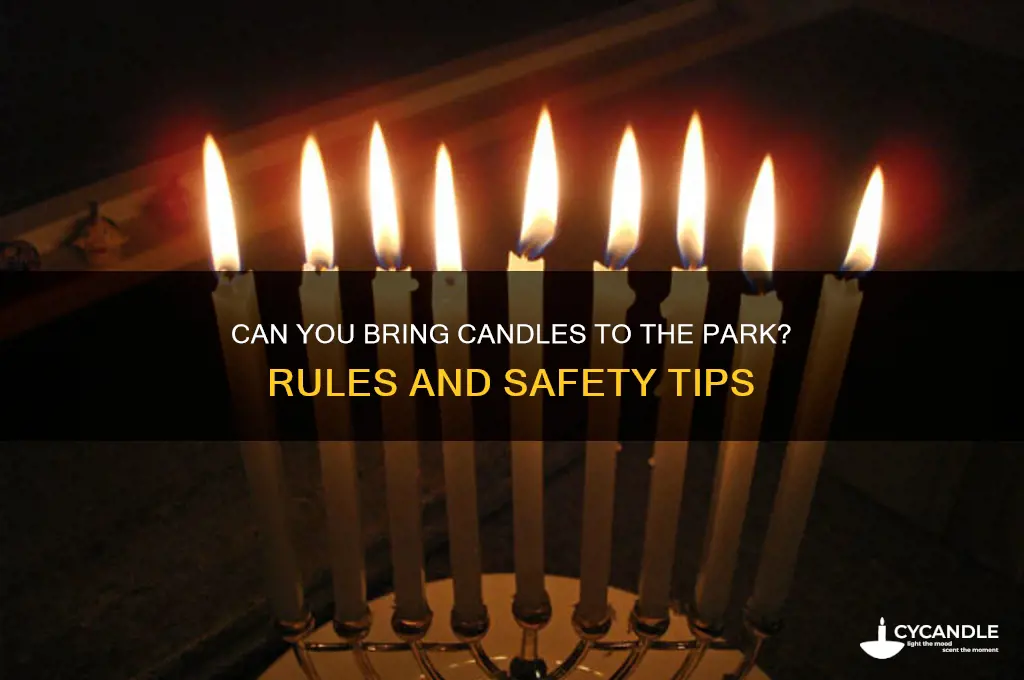 can you bring candles to the park