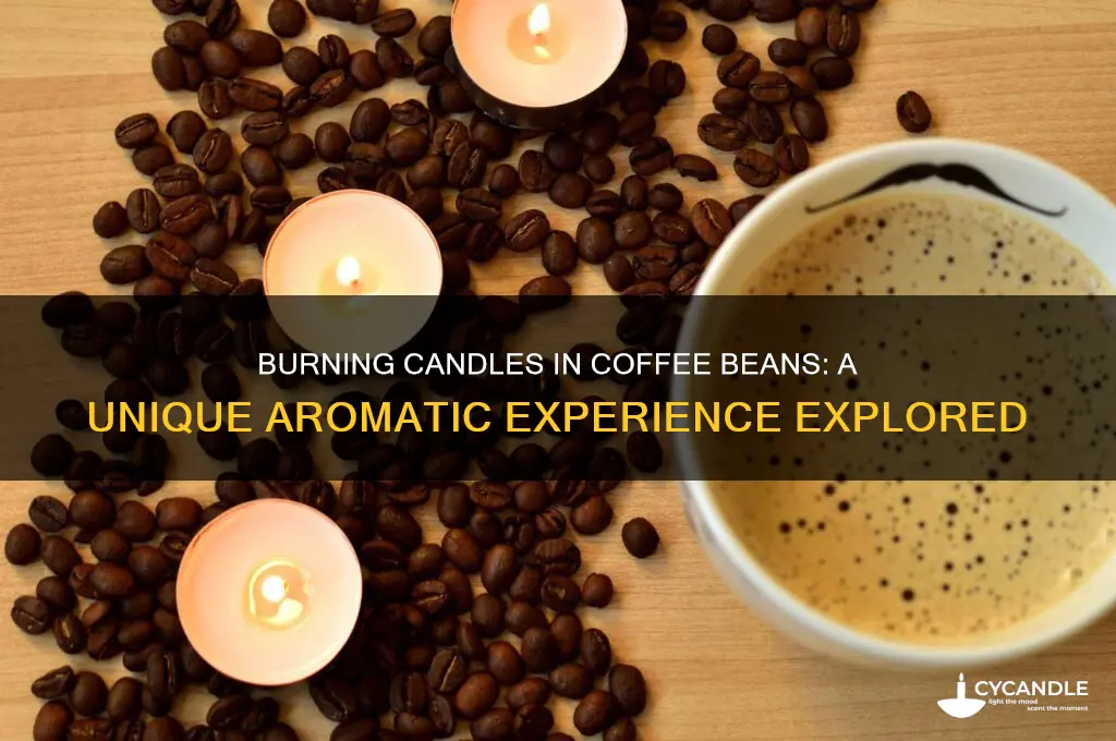 can you burn a candle in coffee beans