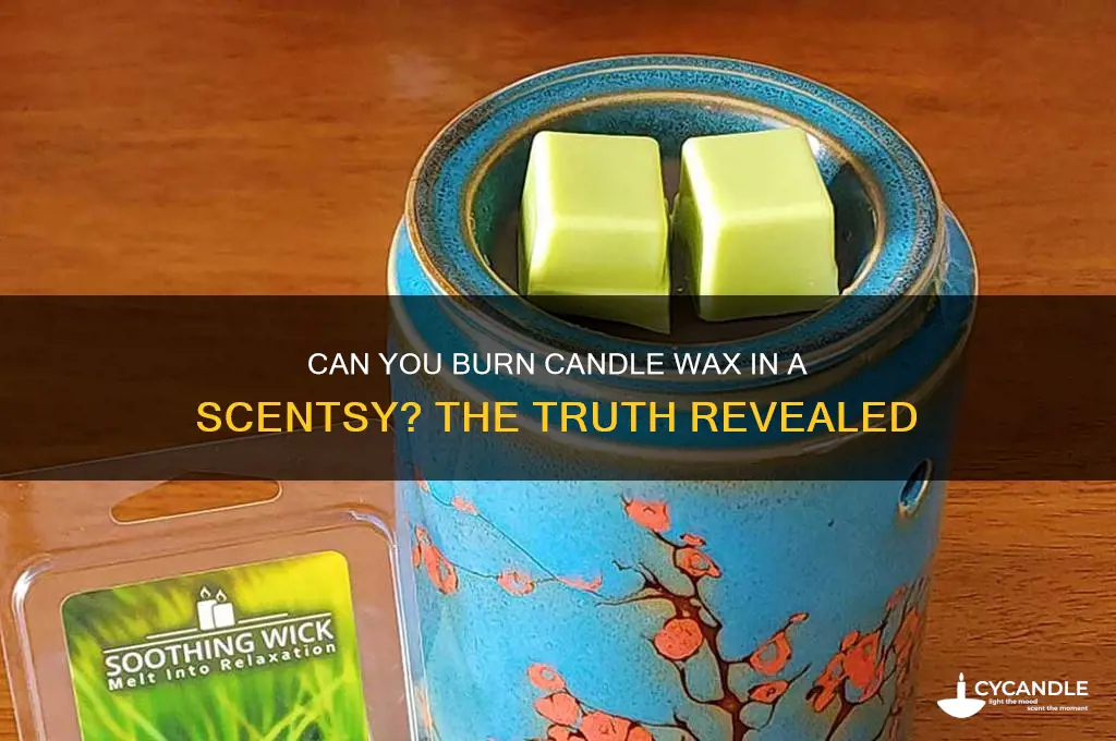 can you burn candle wax in a scentsy