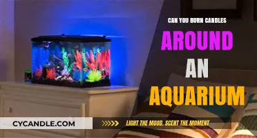 Candles Near Aquariums: Safe Practice or Risky Mistake?