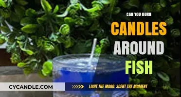 Candles Near Fish Tanks: Safe Practice or Hidden Danger?