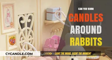 Candle Safety for Rabbits: Tips to Keep Your Bunny Safe