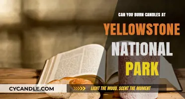Candle Use in Yellowstone: Park Regulations and Fire Safety Tips