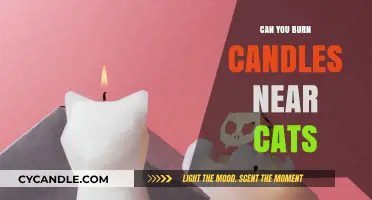 Candles and Cats: Safe Practices for Pet-Friendly Aromatherapy