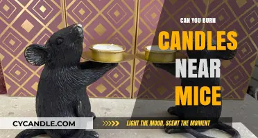 Candles and Mice: Safe Practices to Avoid Unintended Consequences