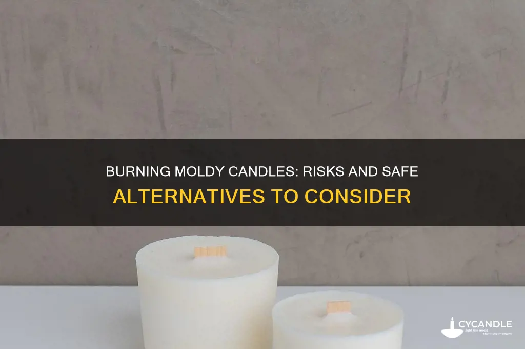 can you burn candles that been exposed to black mold