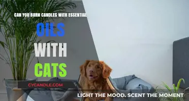 Pet-Safe Aromatherapy: Burning Essential Oil Candles Around Cats