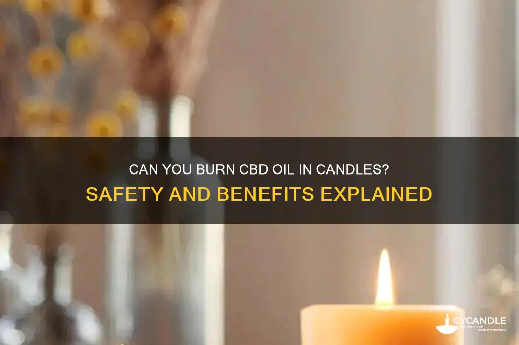 can you burn cbd oil in a candle