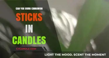 Burning Cinnamon Sticks in Candles: Safe, Aromatic, or Risky?