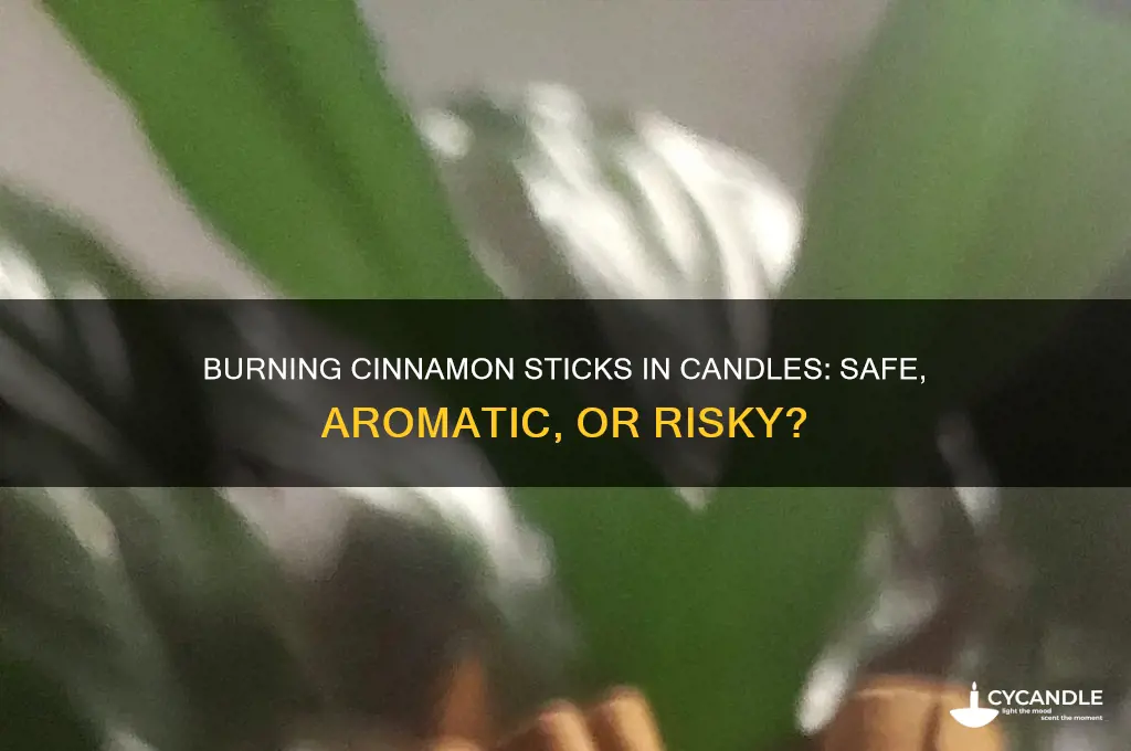 can you burn cinnamon sticks in candles