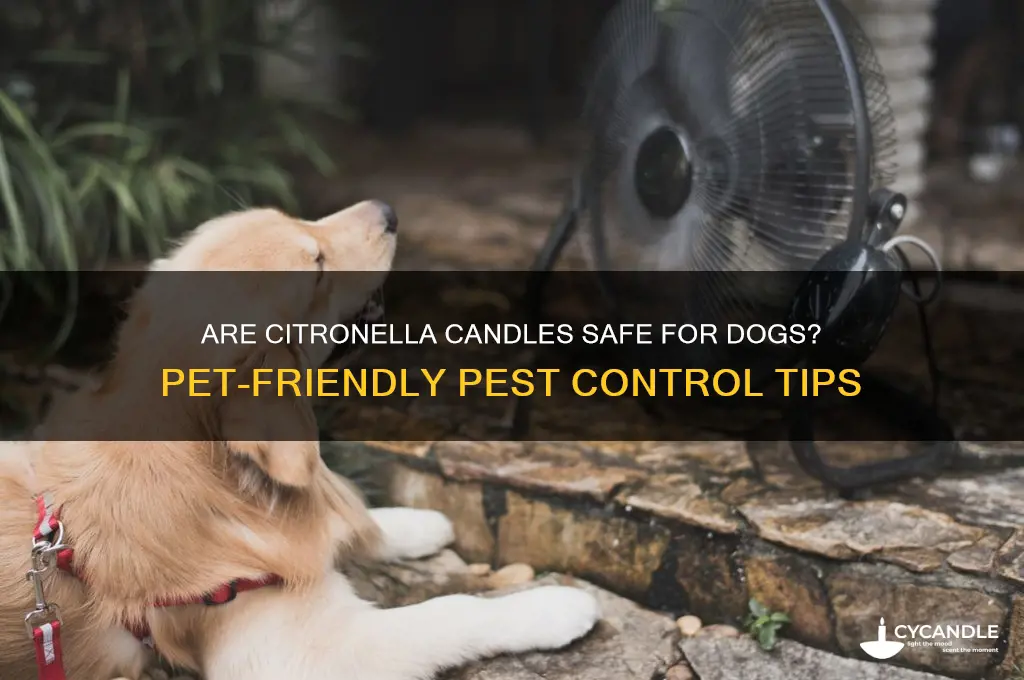 can you burn citronella candles around dogs