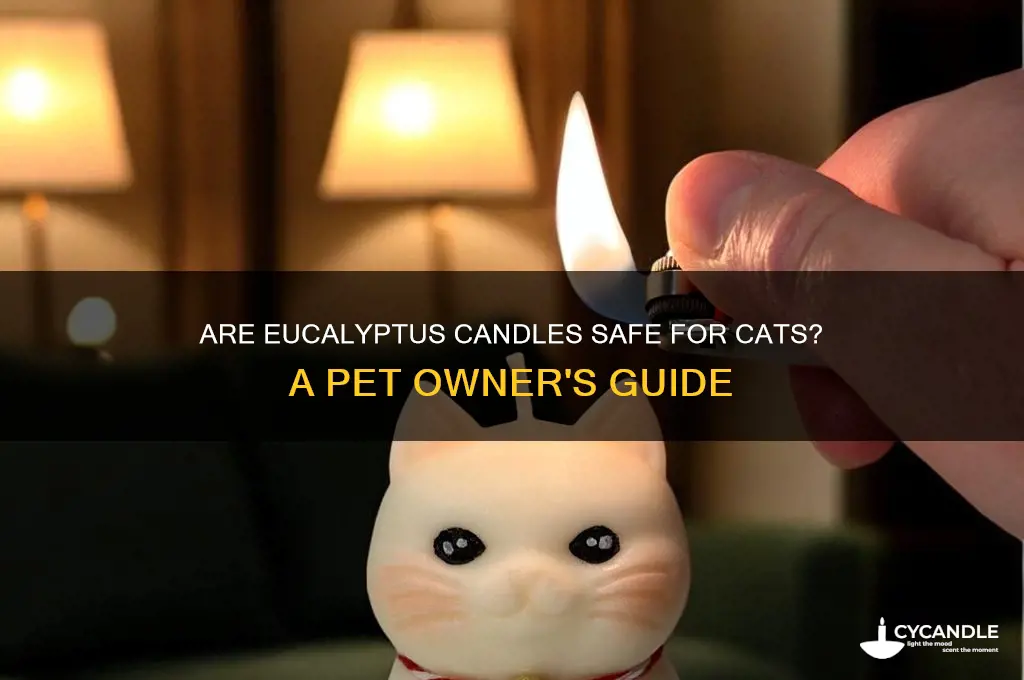 can you burn eucalyptus candles around cats