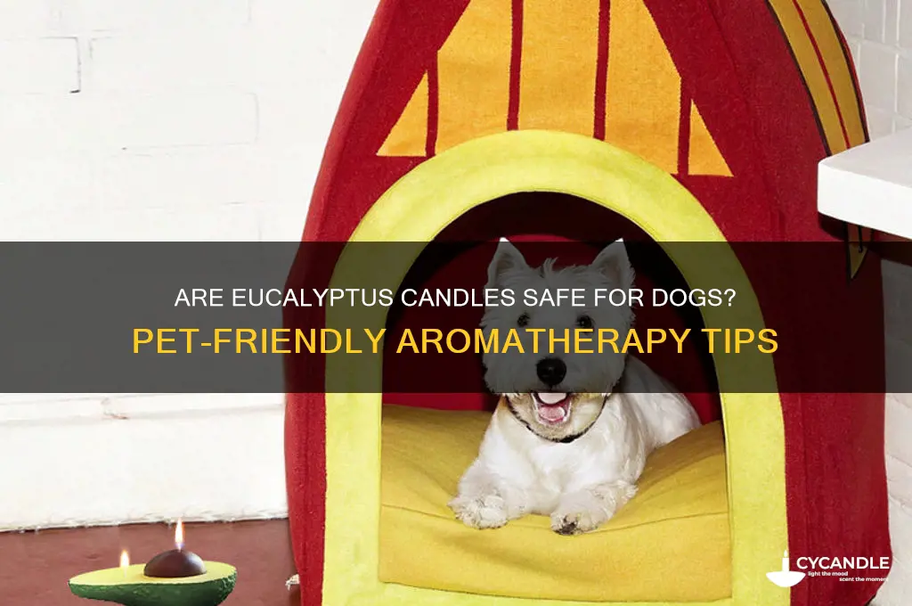 can you burn eucalyptus candles around dogs