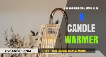 Burning Eucalyptus Oil in Candle Warmers: Safe or Risky?