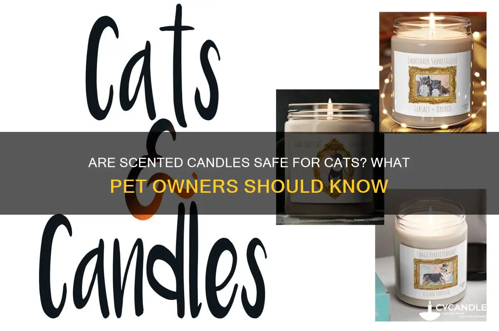 can you burn scented candles around cats