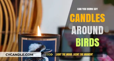Are Soy Candles Safe for Birds? A Pet Owner's Guide