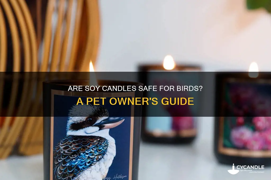 can you burn soy candles around birds