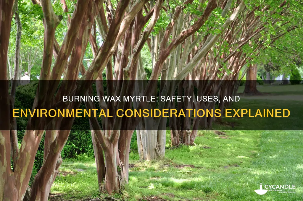 can you burn wax myrtle