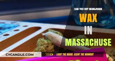 Buying Marijuana Wax in Massachusetts: Legal Options and Regulations Explained