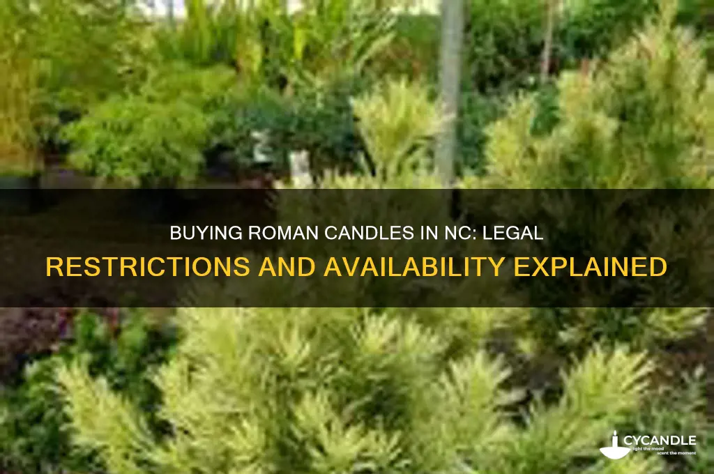 can you buy roman candles in nc