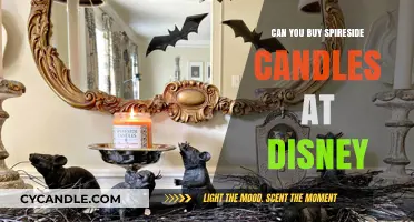 Where to Buy Spireside Candles: Disney Availability Explained