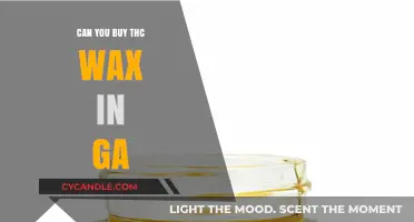 Is THC Wax Legal to Purchase in Georgia? What You Need to Know