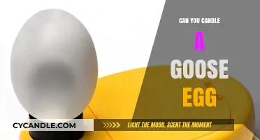 Candling Goose Eggs: Techniques, Tips, and What to Expect