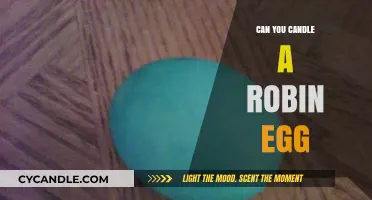 Candling Robin Eggs: A Gentle Guide to Checking Their Development