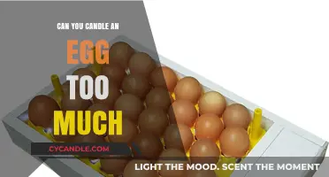 Candling Eggs: How Much is Too Much? Expert Tips Revealed