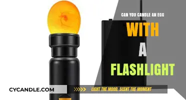 Candling Eggs with a Flashlight: A Simple DIY Method Revealed