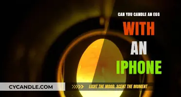 Candling Eggs with an iPhone: A Modern Twist on an Old Trick