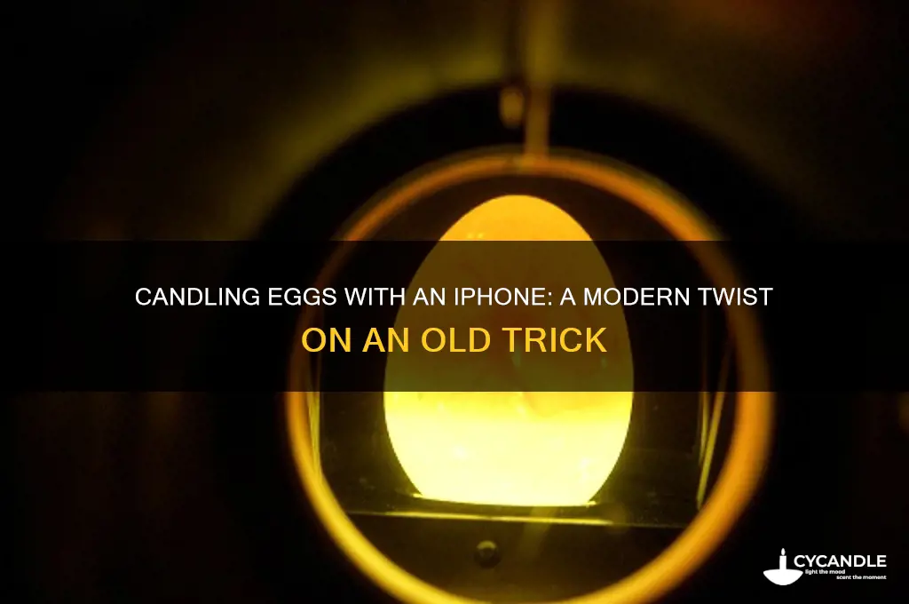 can you candle an egg with an iphone