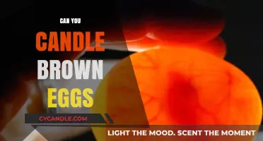 Candling Brown Eggs: Techniques, Tips, and What to Expect