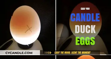 Candling Duck Eggs: A Beginner's Guide to Checking Fertility