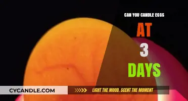 Candling Eggs at 3 Days: Is It Too Early to Check?