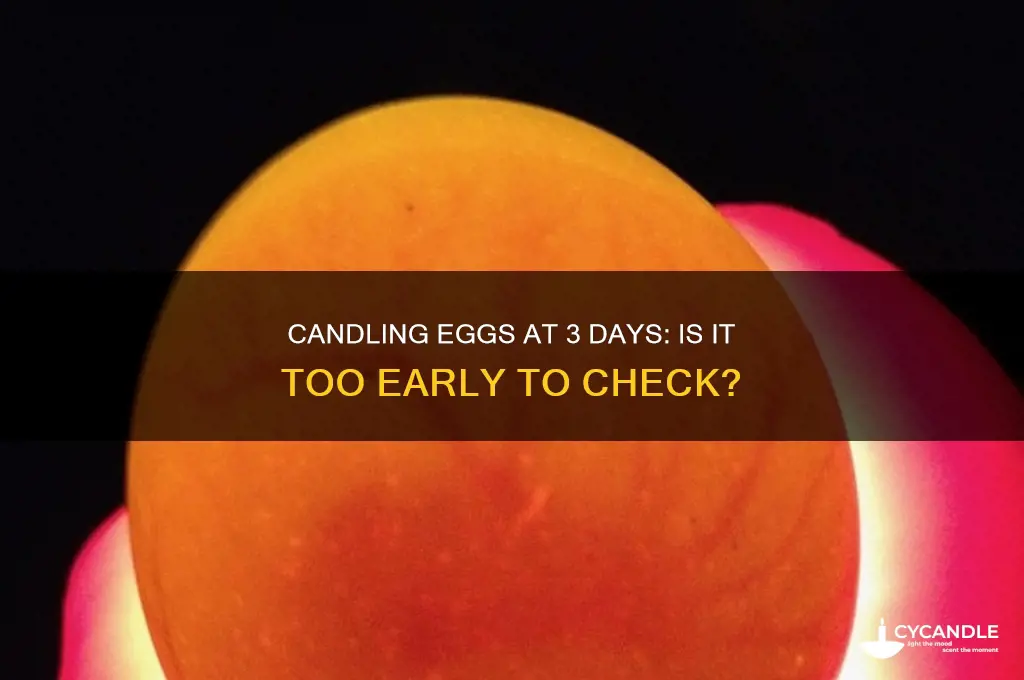 can you candle eggs at 3 days