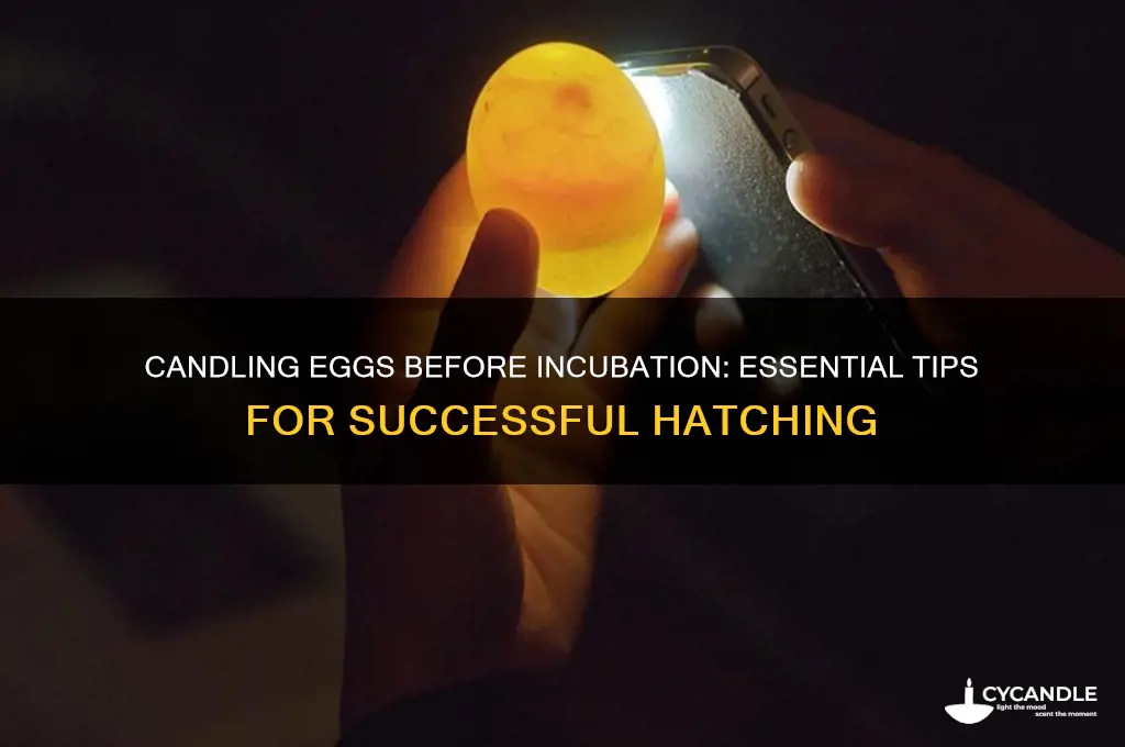 can you candle eggs before incubation