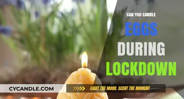 Candling Eggs at Home: A Lockdown Kitchen Skill to Master